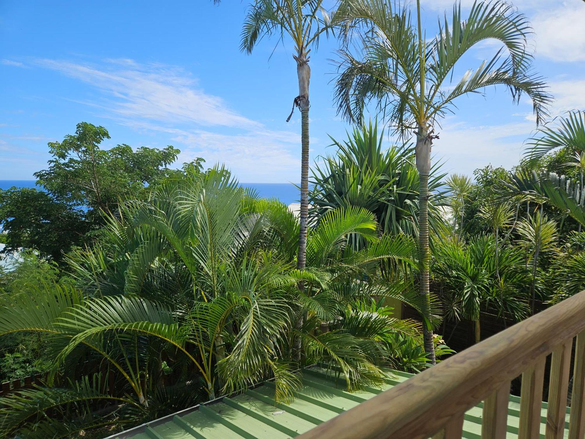 L'Ile En Ylang Apartment แซ็งต์-เลอ ภายนอก รูปภาพ